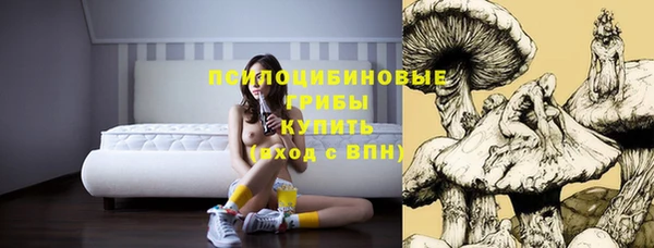 герыч Балахна