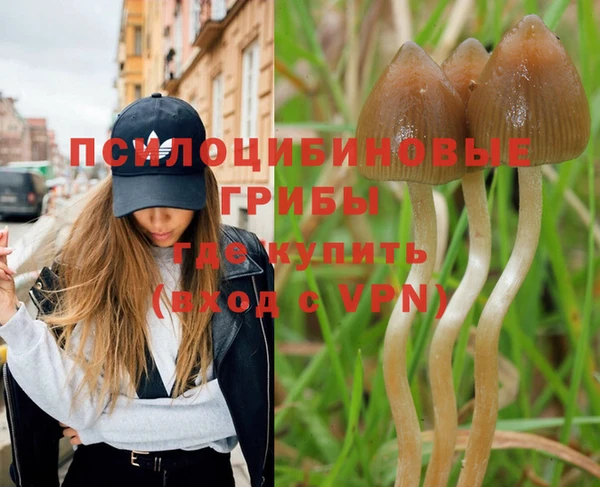 соль курить ск Баксан