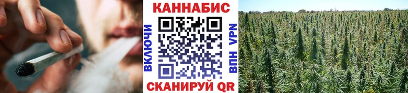 Конопля Ganja Невель